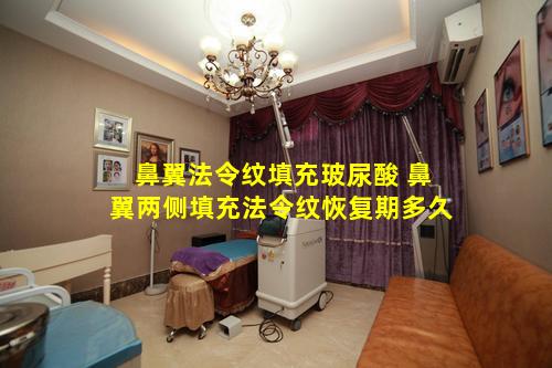 鼻翼法令纹填充玻尿酸 鼻翼两侧填充法令纹恢复期多久
